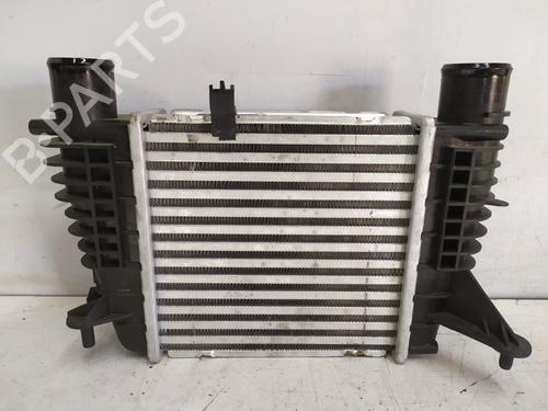 Used Intercooler Intercooler RENAULT CLIO III (BR0/1, CR0/1) 1.5 dCi (BR17, CR17) (86 hp) 33673727 33673727