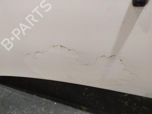 Hood FORD FUSION (JU_)  | BP32196606C1 