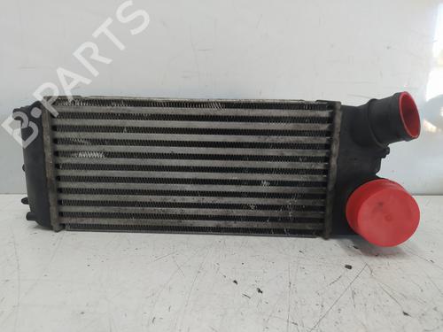 Used Intercooler FORD FIESTA VI (CB1, CCN) 1.6 TDCi (90 hp) 25495122