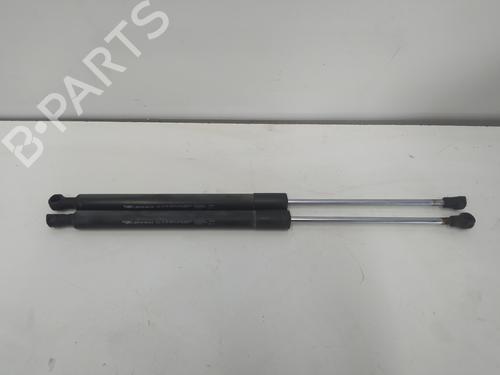 Used Tailgate lift support RENAULT CLIO III (BR0/1, CR0/1) [2005-2014]  15560022