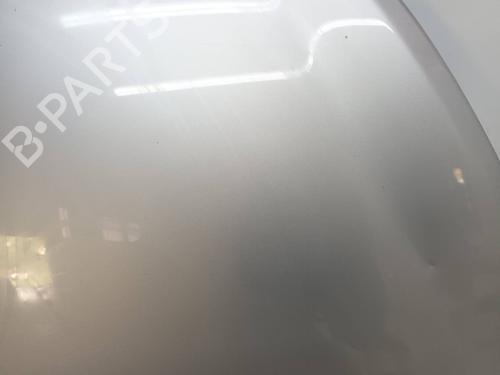 Hood RENAULT CLIO III (BR0/1, CR0/1)  | BP12509132C1 