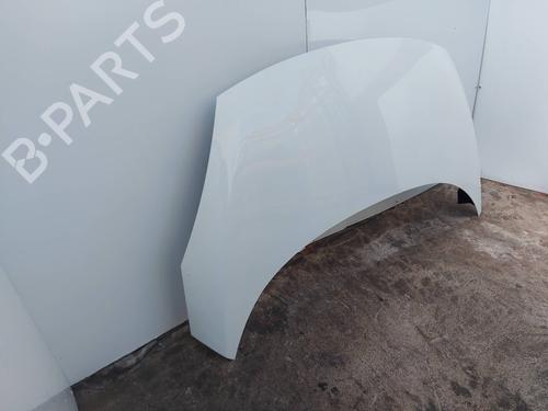 Hood RENAULT SCÉNIC III (JZ0/1_)  | BP29919048C1