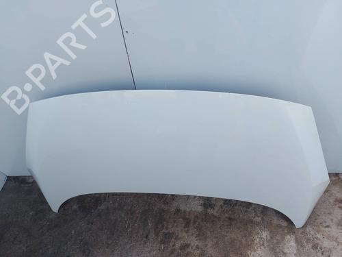 Hood RENAULT SCÉNIC III (JZ0/1_)  | BP29919048C1