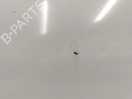 Left front fenders OPEL VIVARO A Van (X83) | BP30549305C41