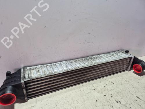 Intercooler VW SHARAN (7M8, 7M9, 7M6) 1.9 TDI | BP26529501M30