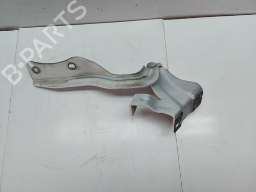 Hinge/Door check strap NISSAN QASHQAI II (J11, J11_)  | BP29541700C146 