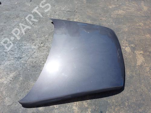 Hood VW TOUAREG (7LA, 7L6, 7L7) 3.0 V6 TDI | BP19478220C1 