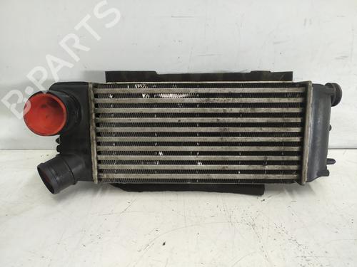 Intercooler Intercooler FORD FIESTA VI (CB1, CCN) 1.6 TDCi (90 hp) 34139109 34139109