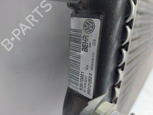 Køler SEAT IBIZA IV (6J5, 6P1)  | BP29825540M31