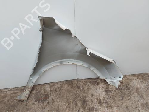Left front fenders NISSAN QASHQAI II (J11, J11_)  | BP29541698C41 