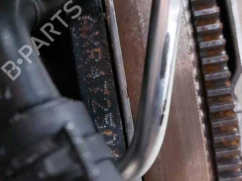 Engine SEAT IBIZA III (6L1)  | BP12511721M1 