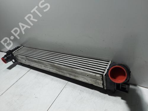 Intercooler RENAULT SCÉNIC III (JZ0/1_)  | BP29919070M30