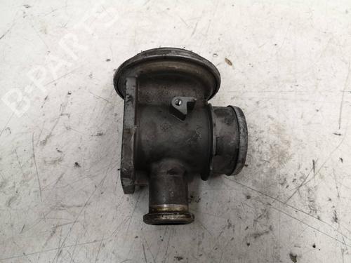 Egr BMW 3 (E46)  | BP8708019M69 