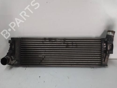 Used Intercooler RENAULT MEGANE II Estate (KM0/1_) 1.9 dCi (KMRG, KM1G, KM0G, KM2C) (120 hp) 10351820