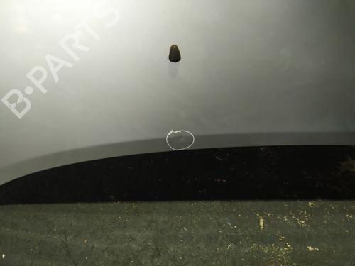 Hood CHEVROLET AVEO / KALOS Hatchback (T200) 1.4 | BP29636350C1 