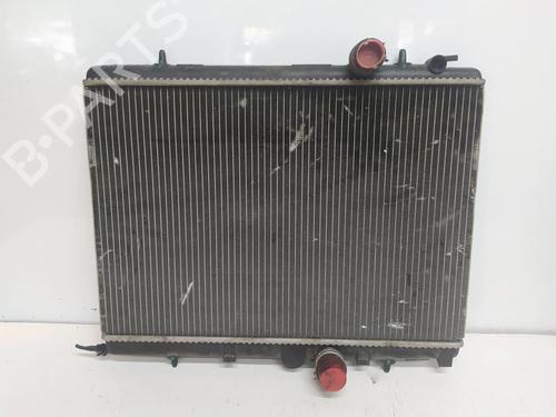 Radiateur à eau PEUGEOT 206 Hatchback (2A/C) 1.4 HDi eco 70 (68 hp) 13217598