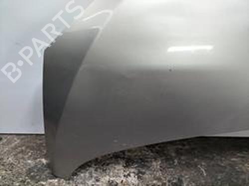 Hood PEUGEOT 307 (3A/C) 2.0 HDi 135 | BP8716760C1 