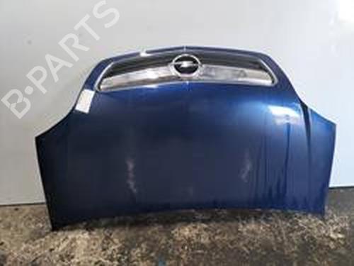 Used Hood OPEL MERIVA A MPV (X03) 1.3 CDTI (E75) (75 hp) 8714509