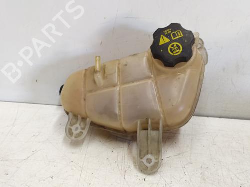 expansion-tank-chevrolet-aveo-hatchback-t300-2011-30569824 main image