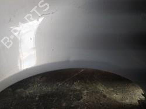 Left front fenders SEAT ALHAMBRA (7V8, 7V9) 2.8 V6 | BP9114380C41 