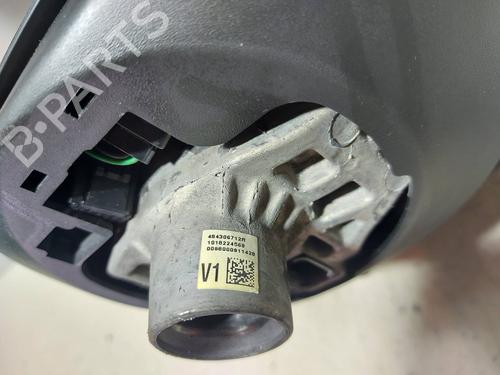 Steering wheel RENAULT SCÉNIC III (JZ0/1_)  | BP18162524C49 
