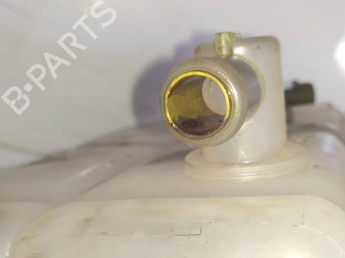 Ekspansjonstank IVECO DAILY IV Platform/Chassis 35C15 | BP29536450C120 