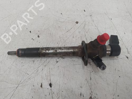 Injector LAND ROVER DISCOVERY III (L319)  | BP24128389M100 