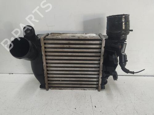 Used Intercooler SEAT TOLEDO II (1M2) [1998-2006]  29291001
