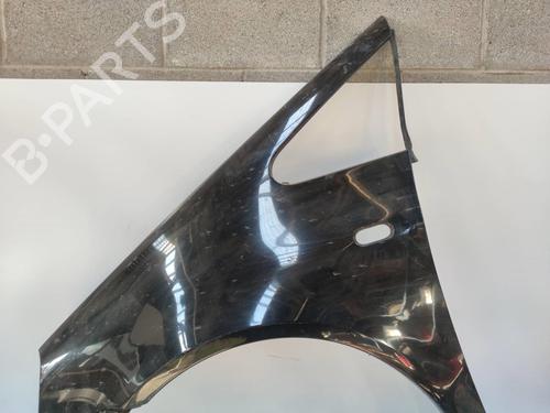 Left front fenders SEAT ALHAMBRA (7V8, 7V9) 1.9 TDI 4motion | BP8704994C41 