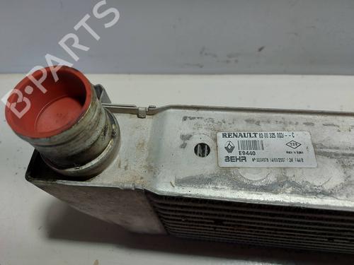 Intercooler RENAULT MEGANE II (BM0/1_, CM0/1_) 2.0 dCi (BM1K, CM1K) | BP19877849M30 