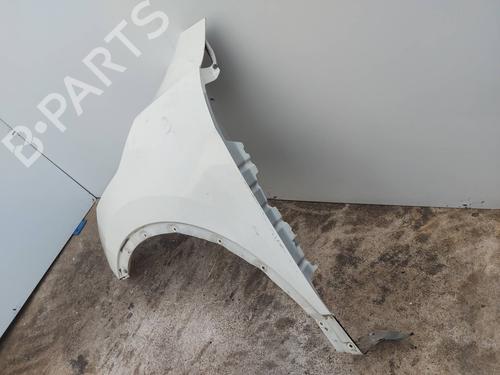 Left front fenders NISSAN QASHQAI II (J11, J11_)  | BP29541698C41 