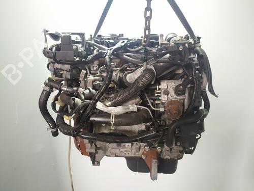 Engine FORD FIESTA VI (CB1, CCN) 1.6 TDCi (95 hp) 11701416