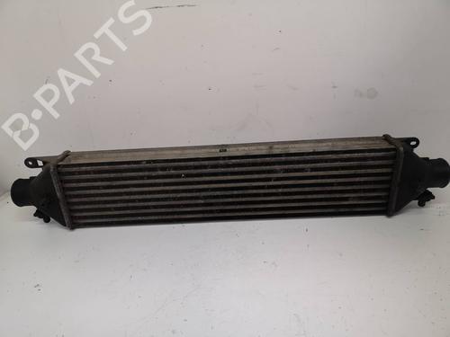 Intercooler FIAT DOBLO Cargo (263_) 1.3 D Multijet (90 hp) 9114530