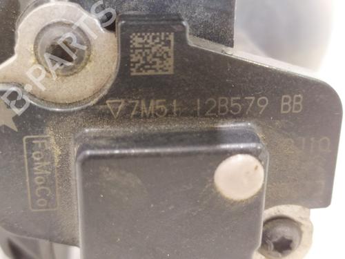Mass air flow sensor FORD GRAND C-MAX (DXA/CB7, DXA/CEU)  | BP29907021M95
