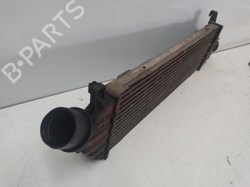 Intercooler NISSAN MICRA III (K12)  | BP11835849M30 