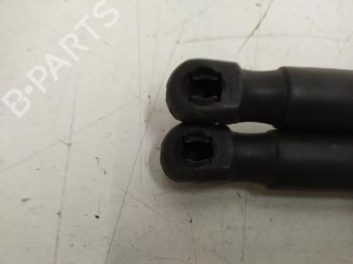 Tailgate lift support CITROËN C4 Picasso I MPV (UD_) 1.6 HDi | BP27367585C138 