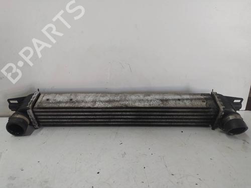 Used Intercooler CITROËN NEMO Box Body/MPV (AA_) 1.4 HDi (68 hp) 9671598