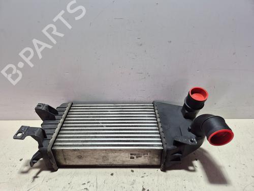 Used Intercooler OPEL ZAFIRA / ZAFIRA FAMILY B (A05) 1.7 CDTI (M75) (110 hp) 24959460