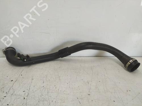 Used Pipe RENAULT MEGANE II (BM0/1_, CM0/1_) [2001-2012]  29395202
