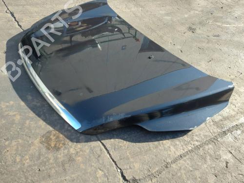 Hood FORD FOCUS II (DA_, HCP, DP) 1.8 TDCi | BP22903819C1 