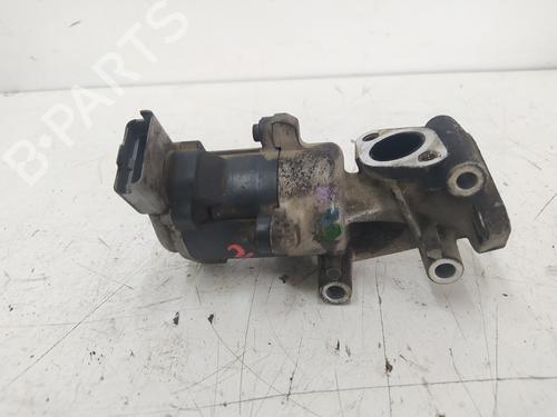 Egr LAND ROVER DISCOVERY III (L319) 2.7 TD 4x4 | BP19330463M69 