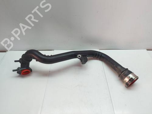 Pipe NISSAN QASHQAI II (J11, J11_)  | BP29573781M125 