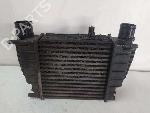 Intercooler RENAULT CLIO III Grandtour (KR0/1_) 1.2 16V Hi-Flex (KR0S) | BP12510810M30 