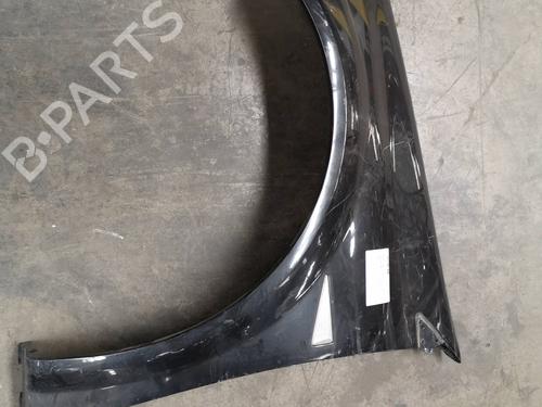 Used Left front fenders RENAULT MEGANE II (BM0/1_, CM0/1_) 1.9 dCi (BM0G, CM0G) (120 hp) 8709869