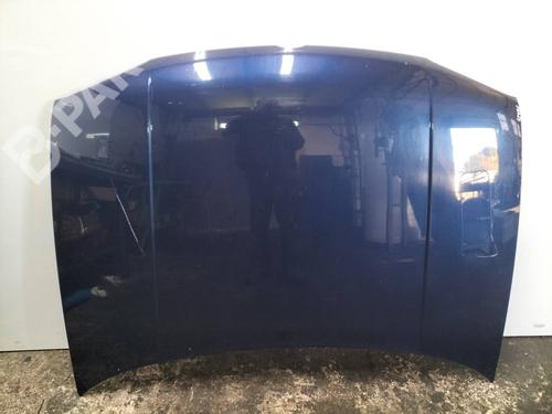 Used Hood Hood VW GOLF IV (1J1) 1.9 TDI 4motion (90 hp) 11174288 11174288
