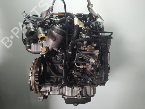 Engine OPEL CORSA C (X01) 1.7 CDTI (F08, F68) | BP27655777M1 