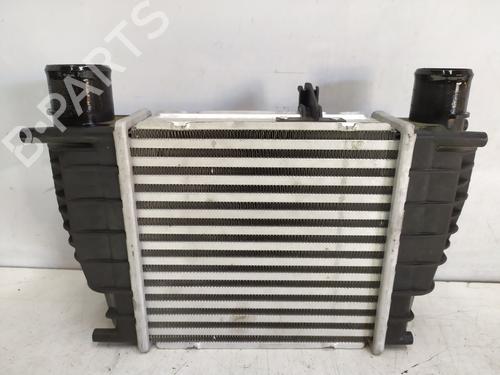 Intercooler RENAULT CLIO III (BR0/1, CR0/1) 1.5 dCi (BR17, CR17) | BP33673727M30 - Image 3