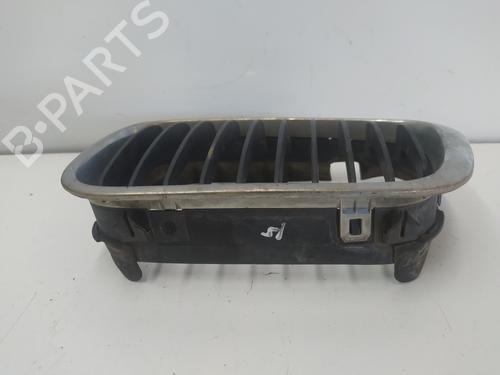 Grille BMW 3 (E46) 320 d | BP16079966C40 