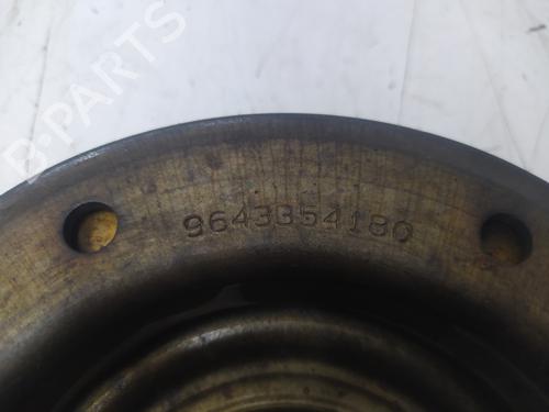 Pulley PEUGEOT 407 (6D_)  | BP16960402M122 