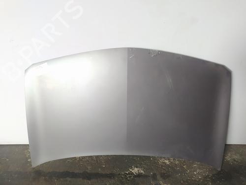 Used Hood RENAULT MEGANE II Saloon (LM0/1_) 1.9 dCi (LM0G, LM1G, LM2C) (120 hp) 8713606